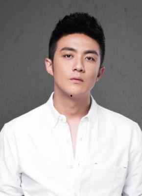 李泽锋资料个人资料,影视界多面手，才华横溢的演员之路